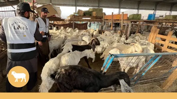 SADAQAH QURBANI