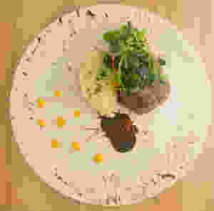 Boeuf à l’Orange; Beef Tenderloin with Orange Marmalade, Celeriac Purée and Valrhona chocolate sauce
