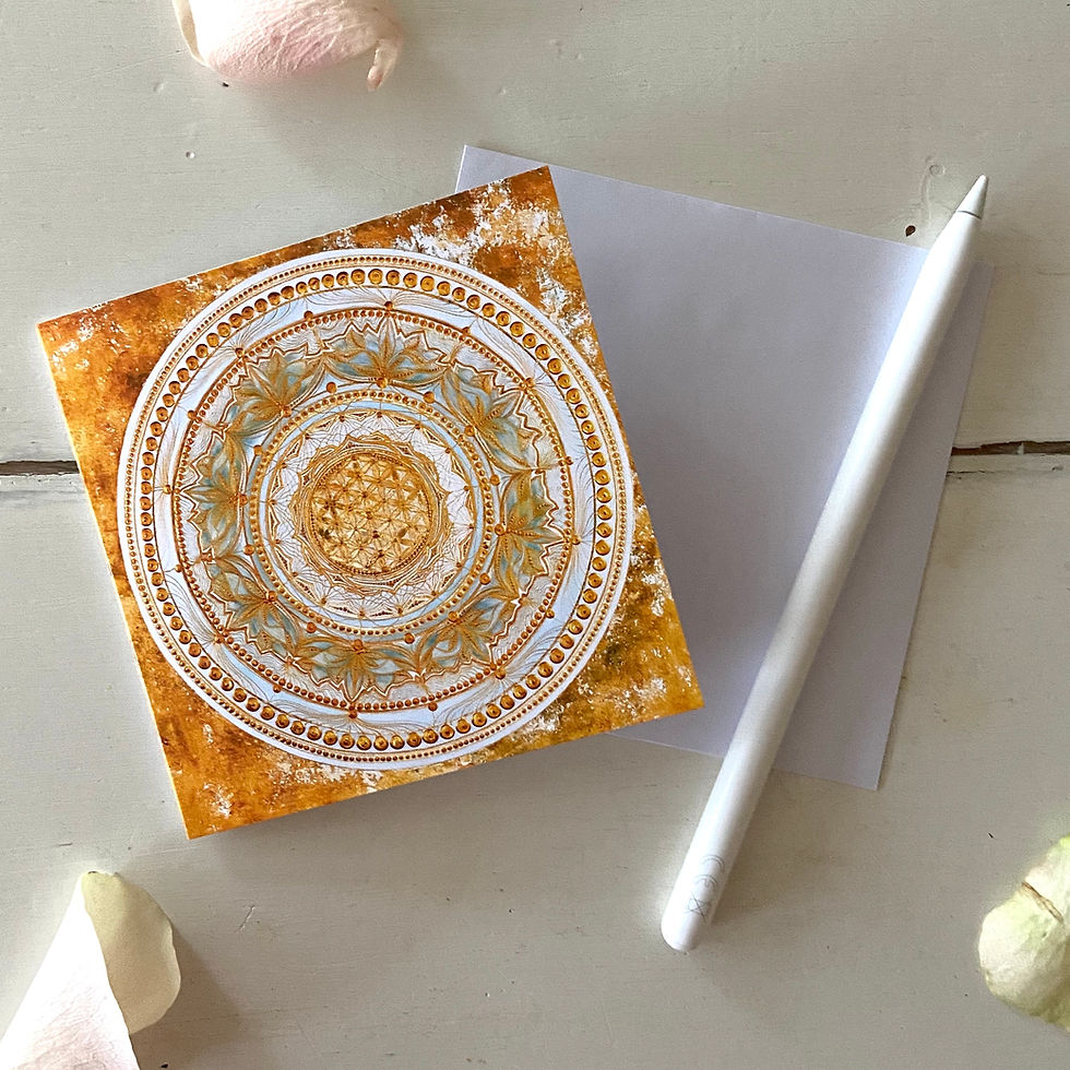 Miniaturbild: White sage - greeting card set of 5  cards with envelopes