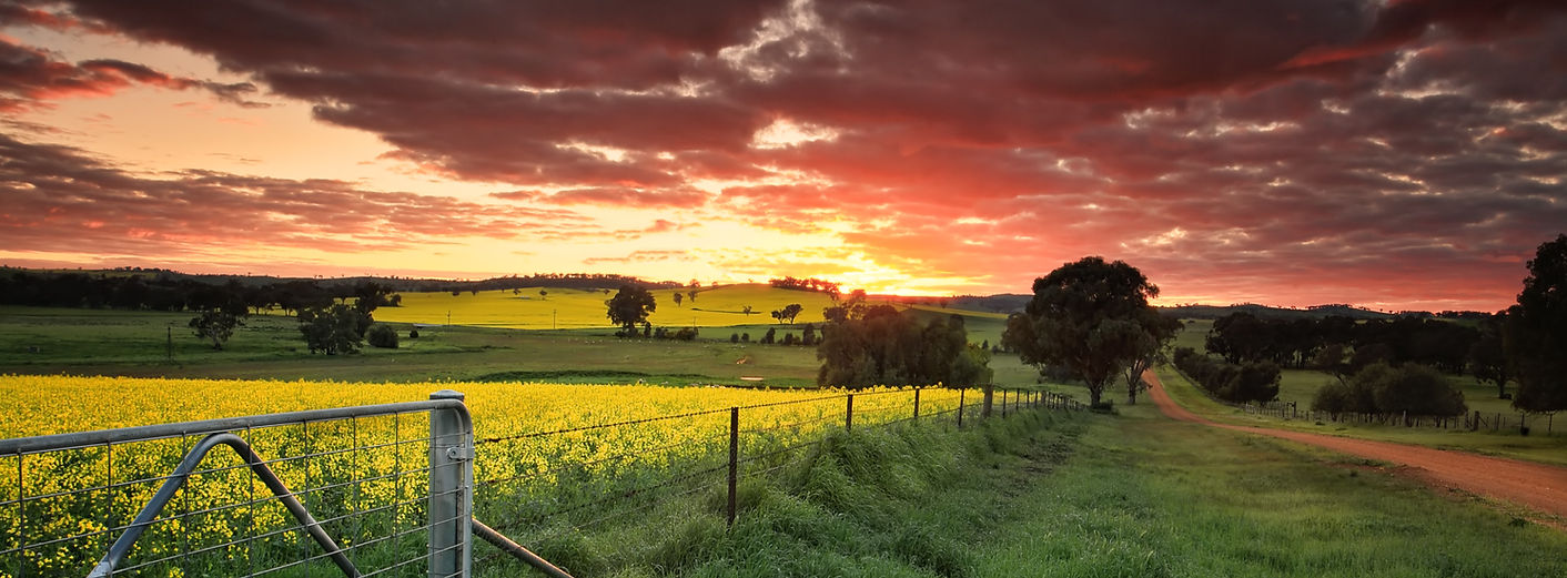 Website iStock-636296876_edited.jpg
