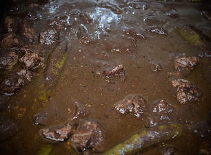 Dinuguan 1.jpg