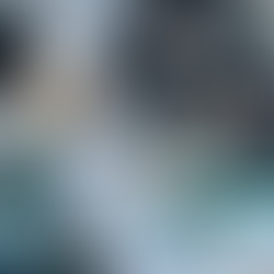 FINANCIAL INFORMATION MANAGEMENT – IMPORTANCE OF A RELIABLE SYSTEM.