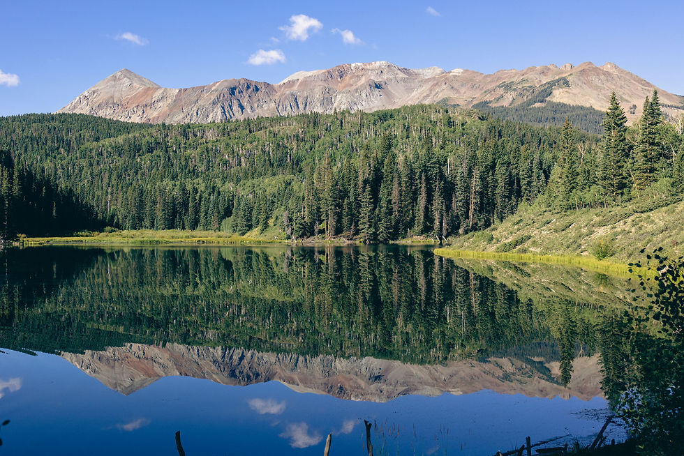 woods lake