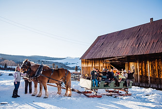 loaded sleigh.jpg