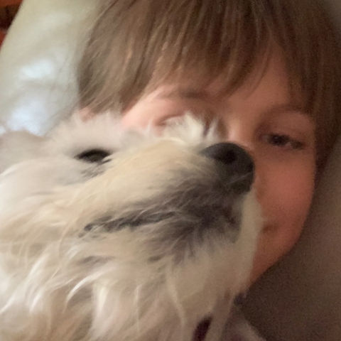 Dog laying with girl