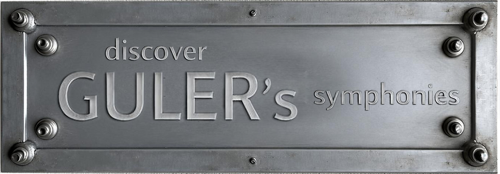 discover GULER 2.png