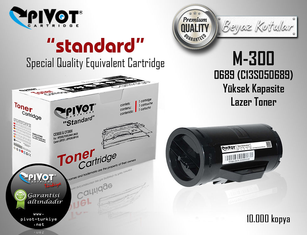 Epson M300 0689 C13S050689 toner