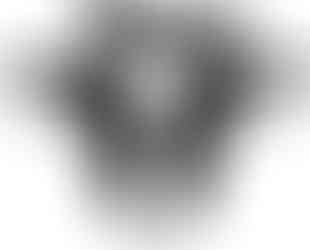 b&w cow face