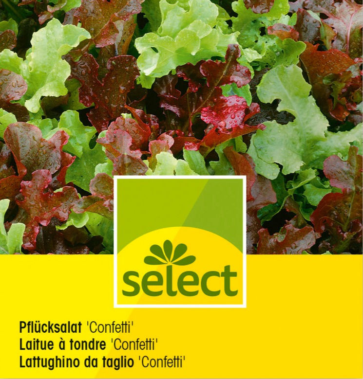 Pflücksalat "Confetti"