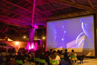 Películas para amar el planeta: Conoce la selección oficial del 19 Festival Arica Nativa 2024