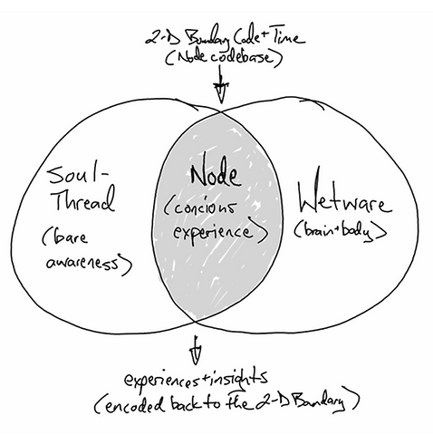 How the soul-thread plugs into body to form a consciousness node, aka human