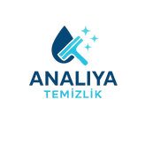 ev_temizgi