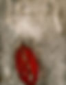 il secondo senso
