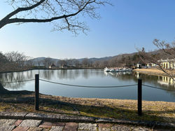 LINE_ALBUM_ドイツの森(高画質ver.)_260301_132