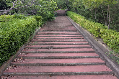 PXL_20260619_084307809.MP.jpg