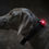 Miniaturbild: Orbiloc Safety Light