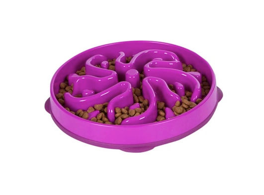 Fun Feeder Flower