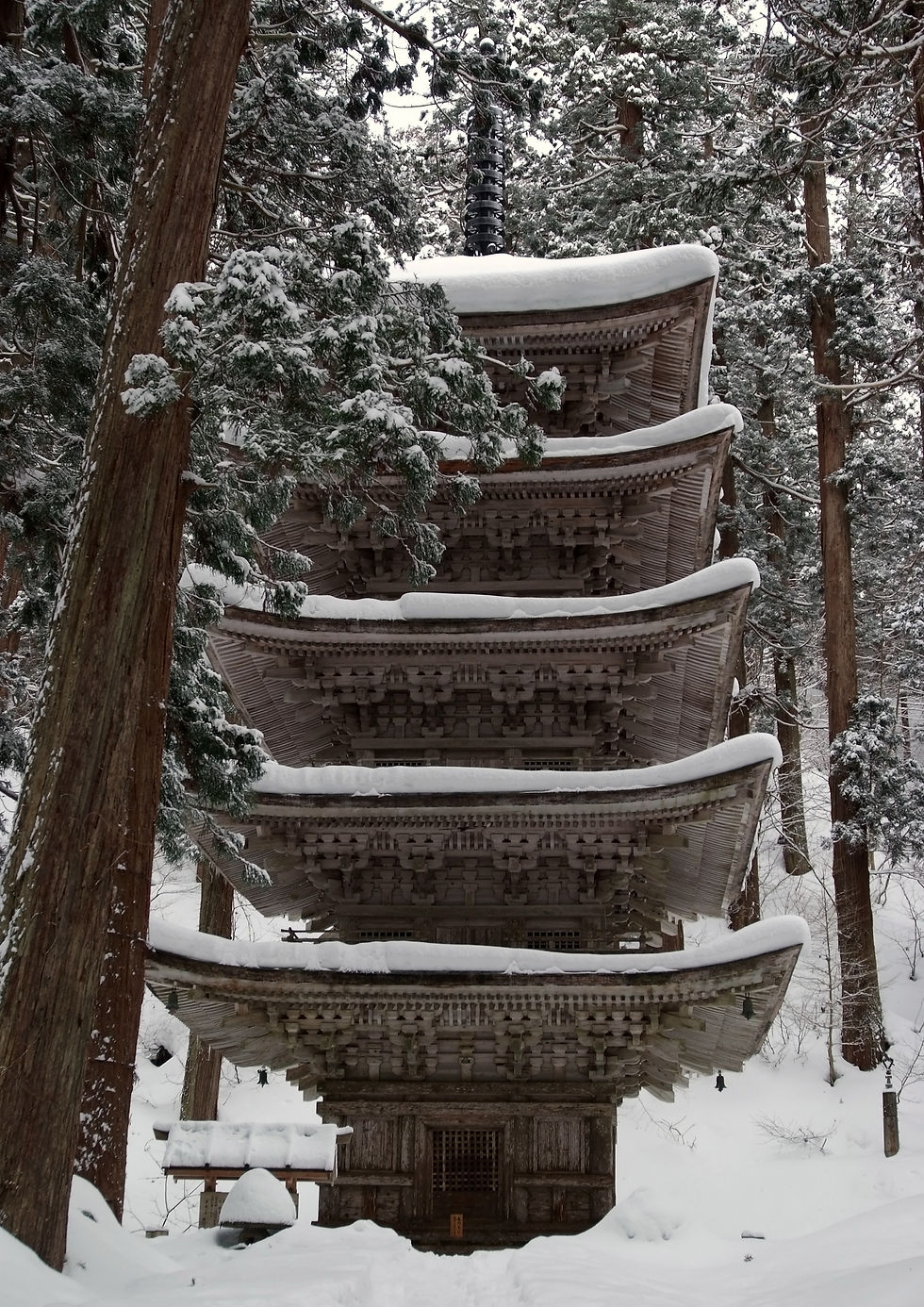 Snowy cedar forest, Dewa Sanzan in Yamagata, Tohoku.