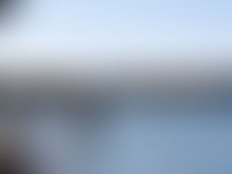 Inside Totoro’s Forest: The Place That Inspired Ghibli’s World