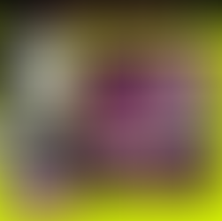 Why Eddie Bauer Failed & The OIA Rendezvous Recap Plus: Has Athleisure Finally Peaked?