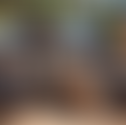 'Alpha Squirrel’ Gang Terrorize National Park Guests in Latest Crime Spree