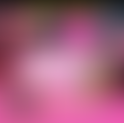 The Top 10 Rock Fights Of 2024: The Outdoor Adventure Community