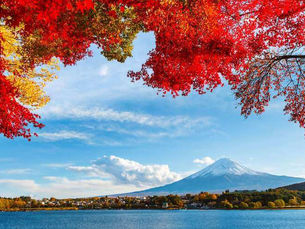 Plan now for Japan travel in late 2023 or 2024