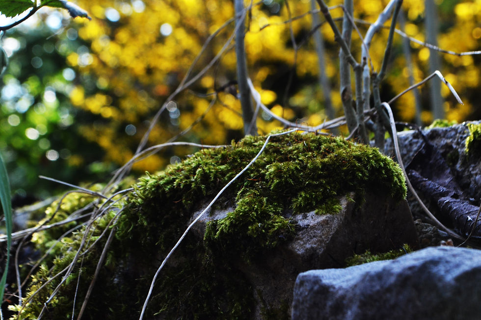 LE MONDE DES TOUS PETITS 2