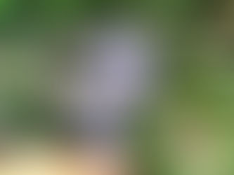 Hospedagem consciente nas montanhas com trilhas e cachoeiras