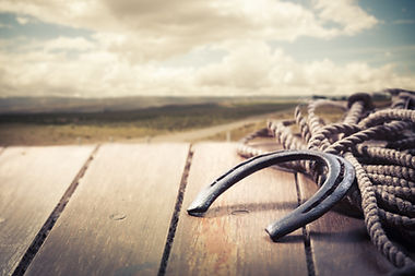 Lucky horseshoe on a porch.jpg