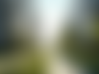 Tackling Challenges in Urban Development: Urban Growth Solutions for Philadelphia