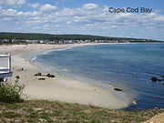 IMG_0233_edited.jpg