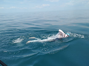 IMG_20240708_130607610.jpg