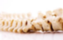 Osteopathy Wheatley