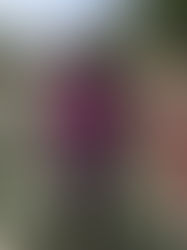 Miracle Smith: Student Spotlight of Week 5