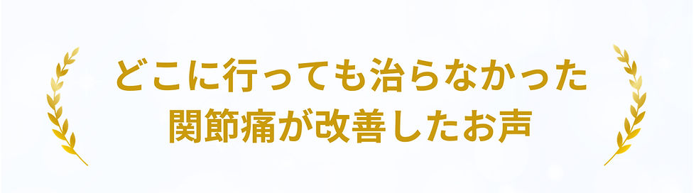 【外部流失禁止】メソッド生限定症状向けLPテンプレ：ブルーのコピー (10)_e