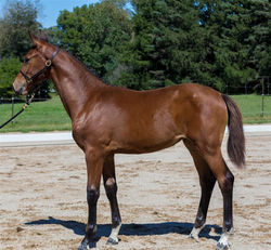 Jubilottie Sept. 2014