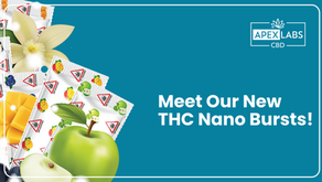 THC Nano Bursts vs Gummies: How Water Solubility Changes Everything