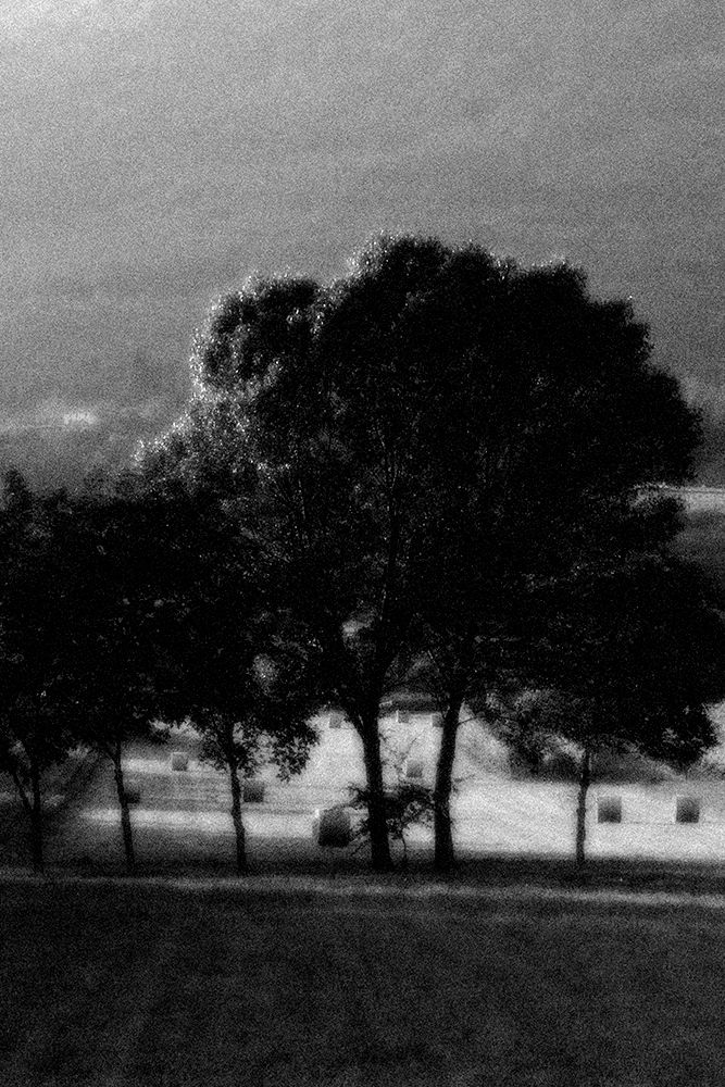 Campagna tardo pomeriggio estivo