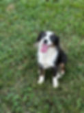 IMG_2877.jpeg