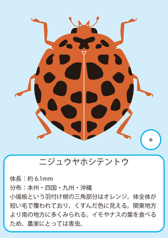 ニジュウヤ.png