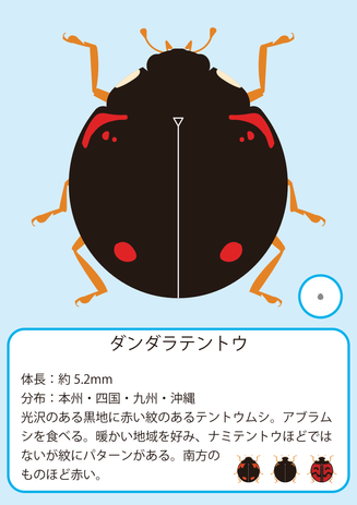 ダンダラ.png