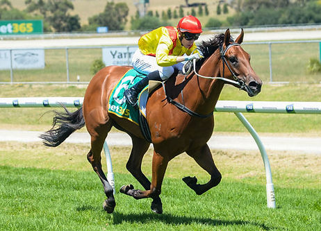 百發百中 (已退役)
WONDERFUL UNICORN
(RETIRED)