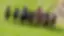 11.png