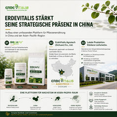 Unternehmensinfografik zur strategischen Expansion von ErdeVitalis in China und im asiatisch-pazifischen Raum. Die Grafik zeigt drei zentrale Entwicklungsbereiche: die Integration von BOKAFU® als Gartenbaumarke für Endverbraucher in China, die Gründung der ErdeVitalis Agrotech (Sichuan) Co., Ltd. gemeinsam mit Golden Raven sowie die Übernahme einer Düngemittelverarbeitungsanlage in Dazhou, Provinz Sichuan. Die Darstellung umfasst BOKAFU-Produktverpackungen, eine Standortkarte Chinas, ein Bild der Produktionsstätte sowie eine regionale Wachstumsplattform, die Deutschland, China, Hongkong und den asiatisch-pazifischen Markt miteinander verbindet.