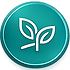 Group Structures (3).png