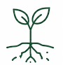 Future (13).png