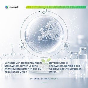 An overview of the EU regulatory framework for food additives, explaining how authorization, safety assessment, and technical specifications work together to define compliance in practice.
