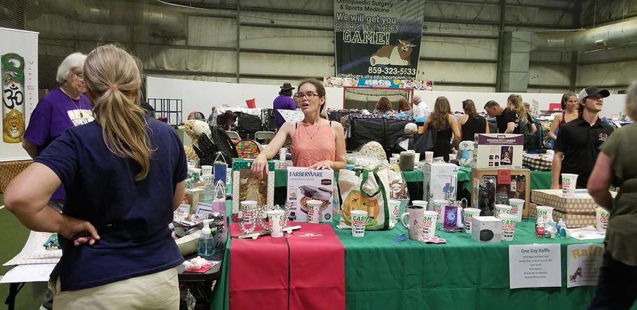 catshow2019raffle.jpg