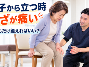 椅子から立つ時にひざが痛い!太ももを鍛えるだけで本当にいいの?【船橋市三咲】